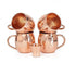 Copper Mule Mug Set Of 4  Shot Glass
